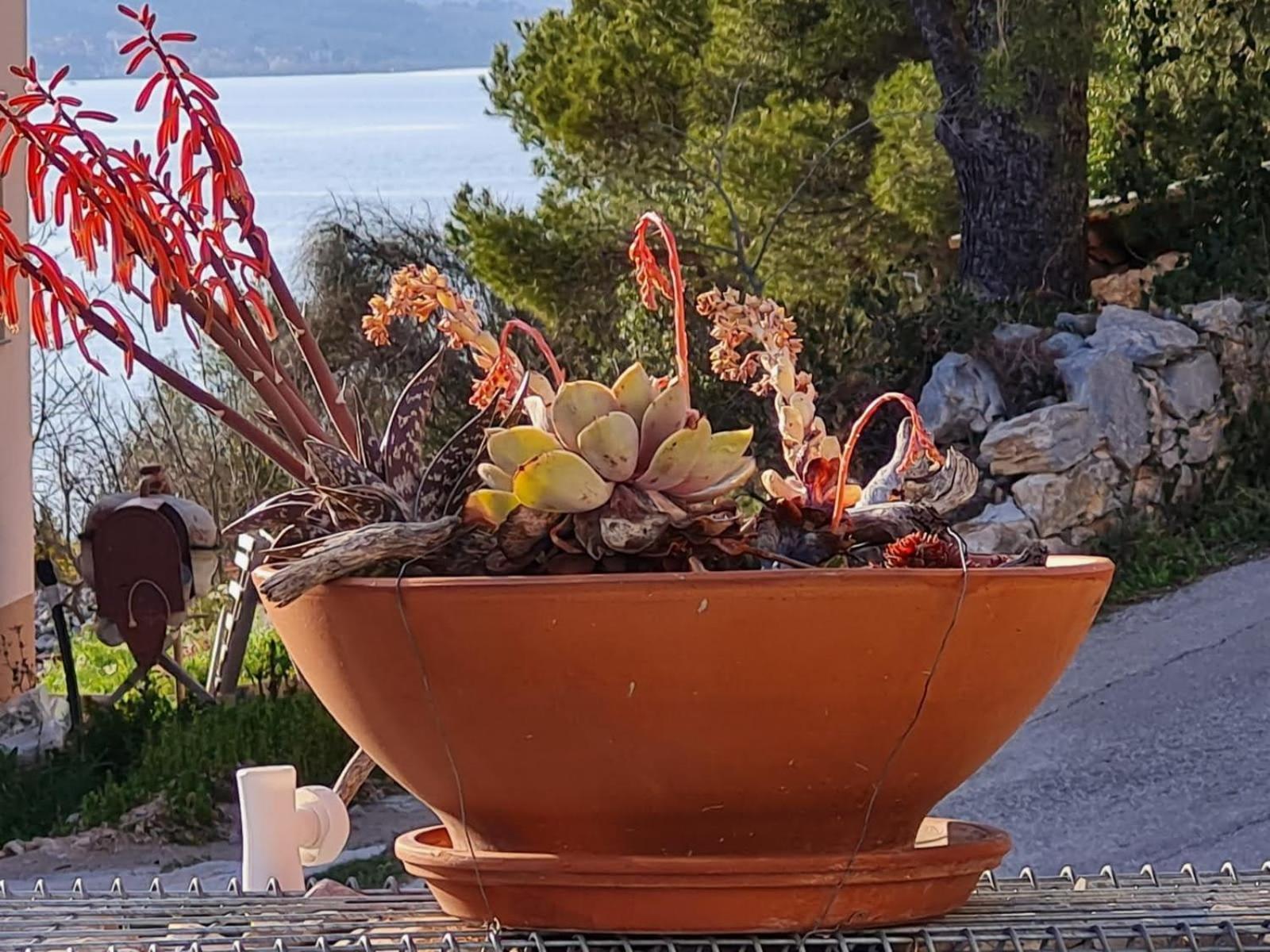Kuca Mali Raj - Little Paradise Sibenik Exterior photo